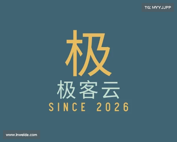 关于极客云